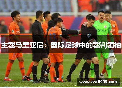 主裁马里亚尼：国际足球中的裁判领袖